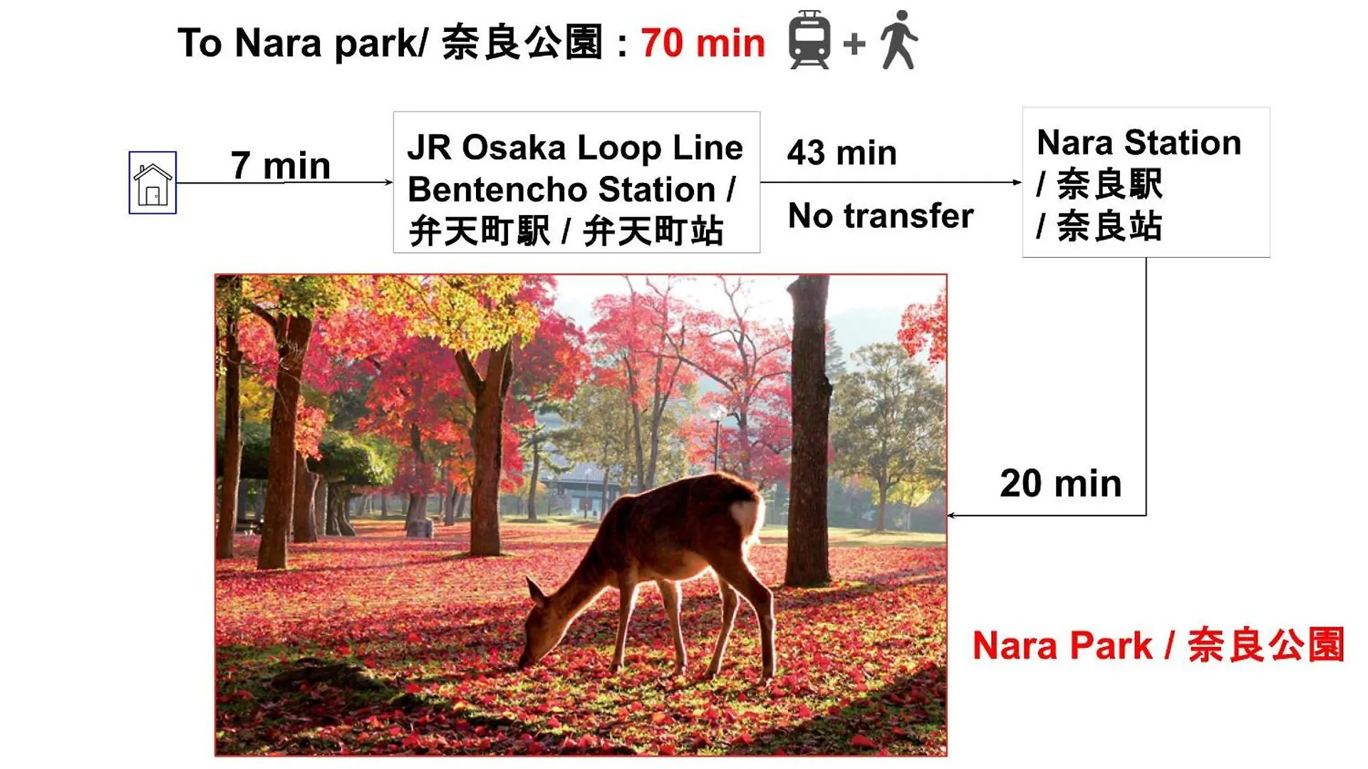 15 Min To Shinsekai&Tsutenkaku&Harukas&Umeda&Osaka,25Min To Shinsaibashi&Dotonbori, 50Min To Kyoto&Nara&Kobe 0*, Ōsaka Japon